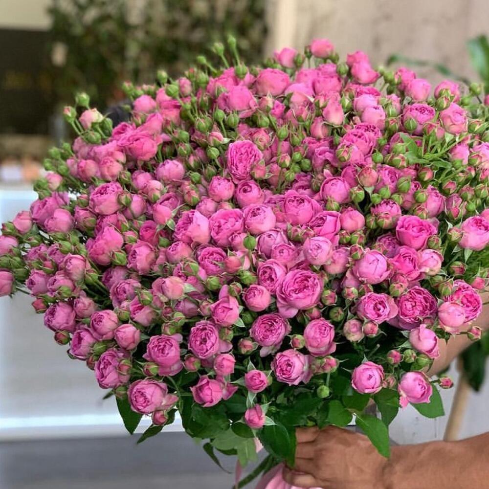 Bouquet is f 151 spray peony roses, Flowers Dubai, United Arab Emirates ...