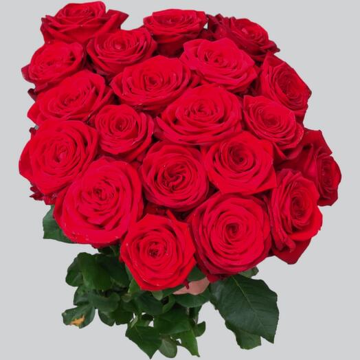 Red roses
