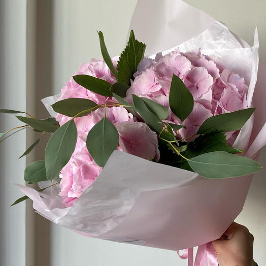 Hydrangea midi