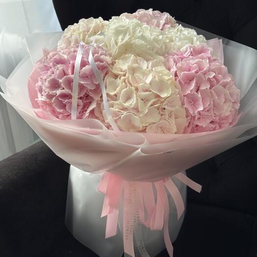 Bloomly Love