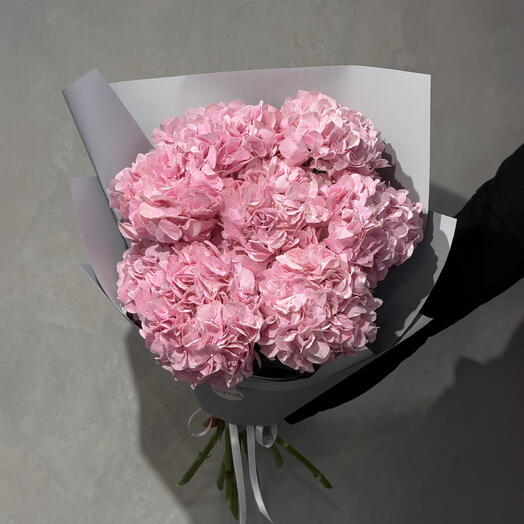 Hydrangea pink 9