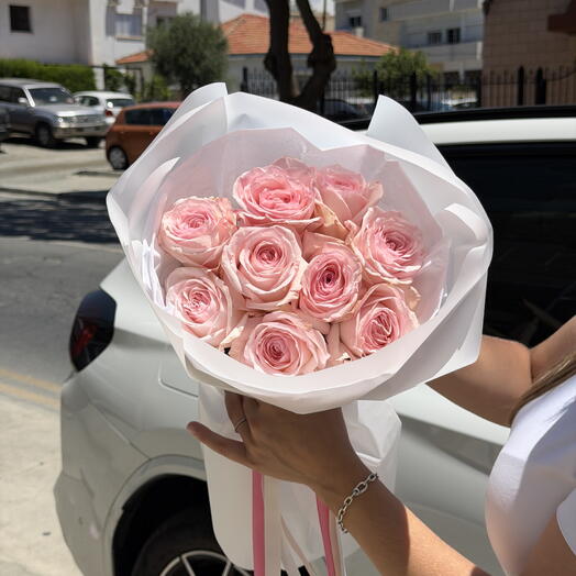 Pink Ohara Roses XS