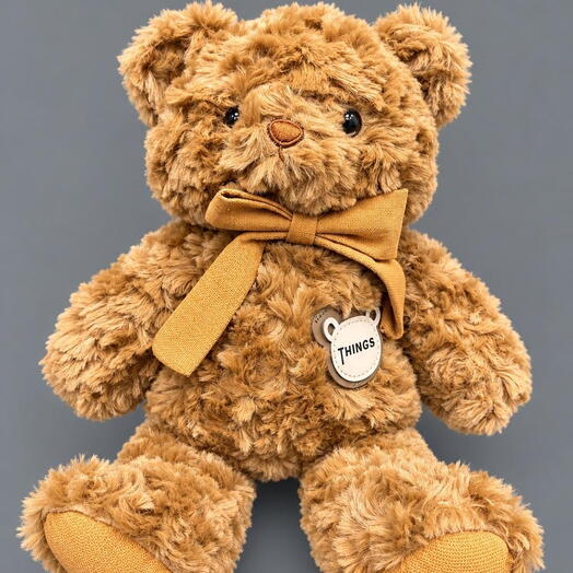 Brown Teddy Bear Soft Toy "Things"