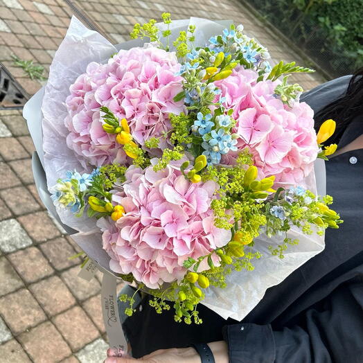 Freesia