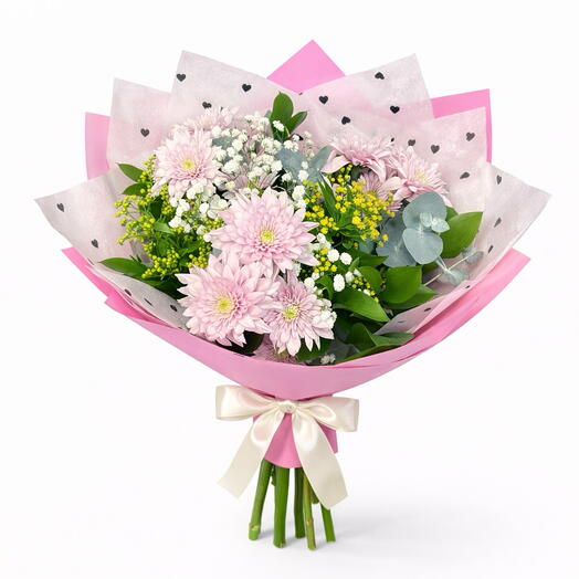 Chrysanthemum pink