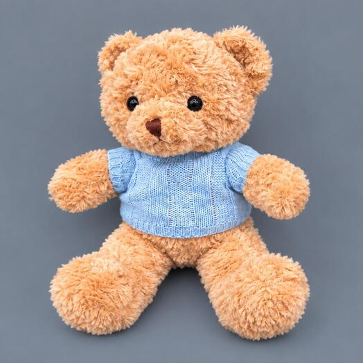 Teddy Bear in a blue sweater soft toy