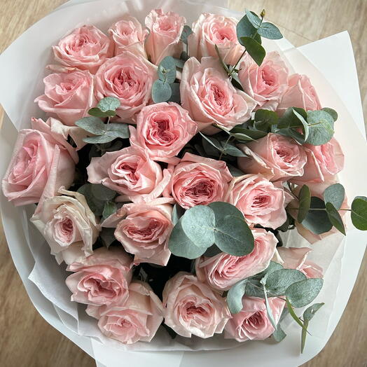 25 pink O Hara