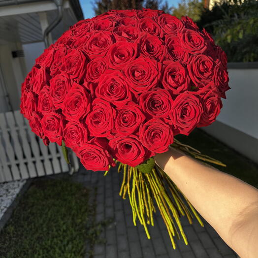 Red Roses (mono)