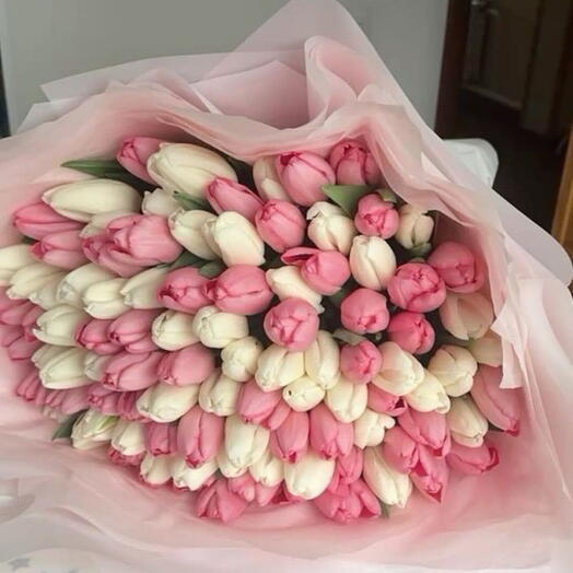 101 tender tulip mix🌷