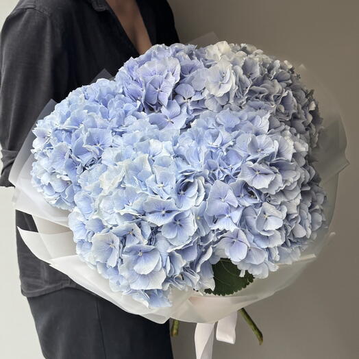 Hydrangea blue 5