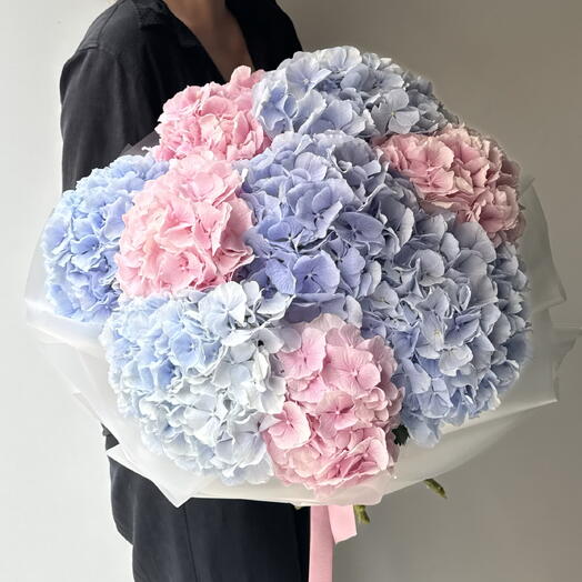 Hydrangea mix 9