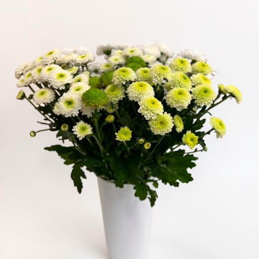 Bouquet of Santini