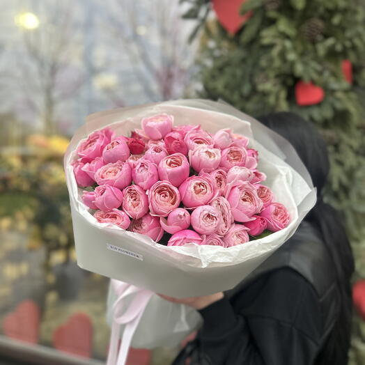 Silvia Pink