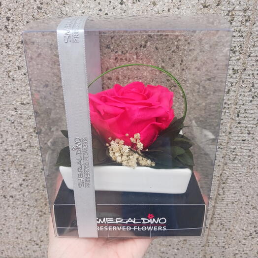 3 mini stabilised rose pink
