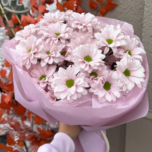 Bouquet of purple daisies