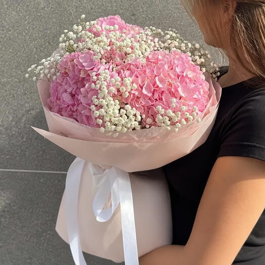 3 rosa Hortensien