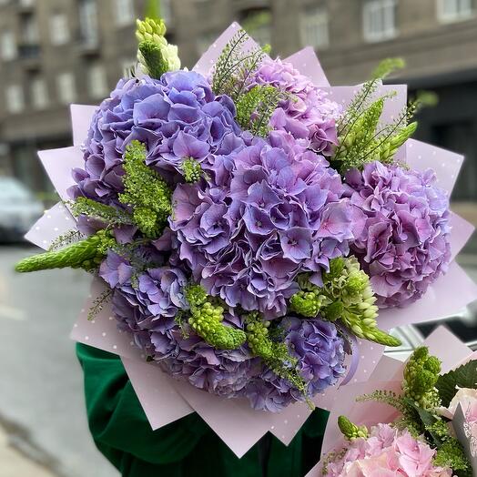 Hydrangea Magic
