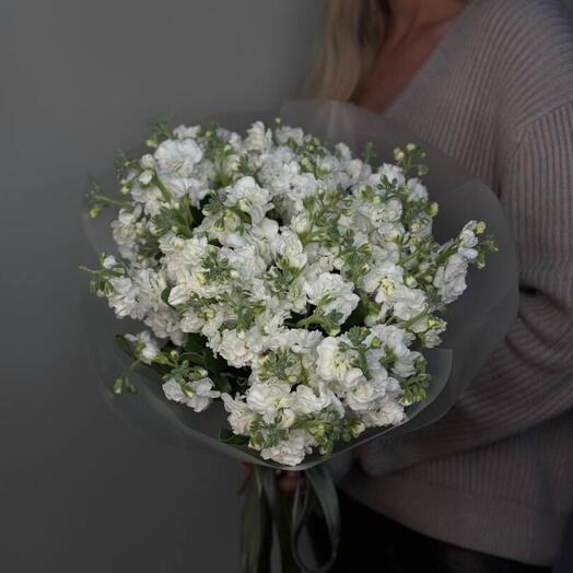 Bouquet of white mattiola