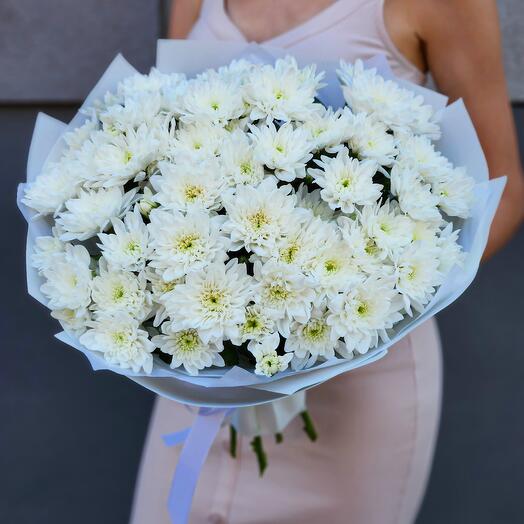 White Harmony