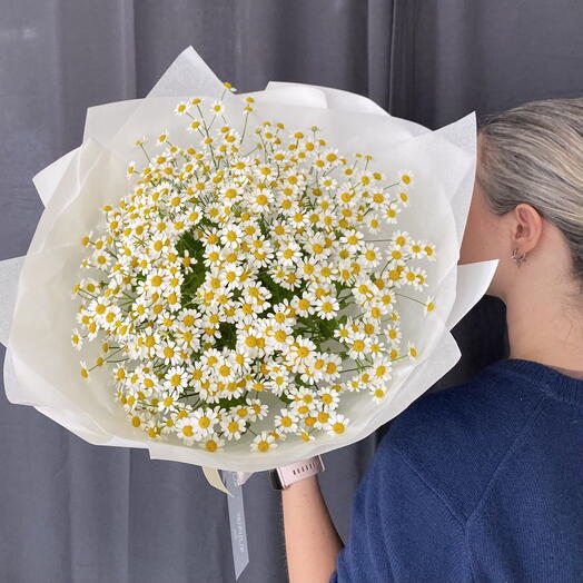 Camomile midi