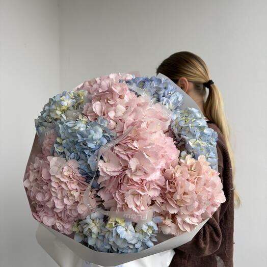 Hydrangea Mix L