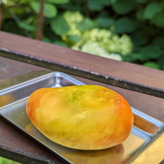 Mango   Peach — Premium Belgian Chocolate Dessert