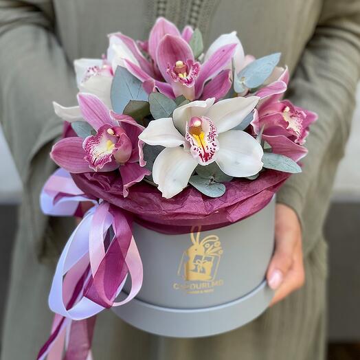 Box of Orchids