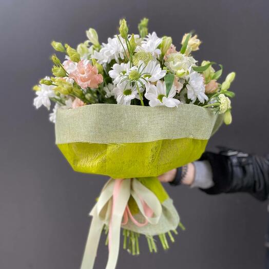 GreenСhrysanthemum