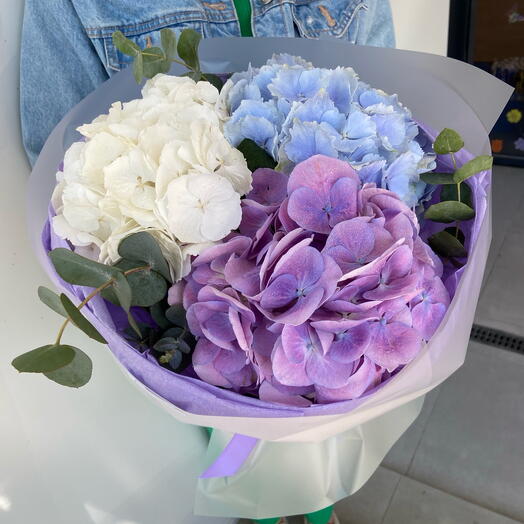 Author's bouquet of hydrangeas multicolor