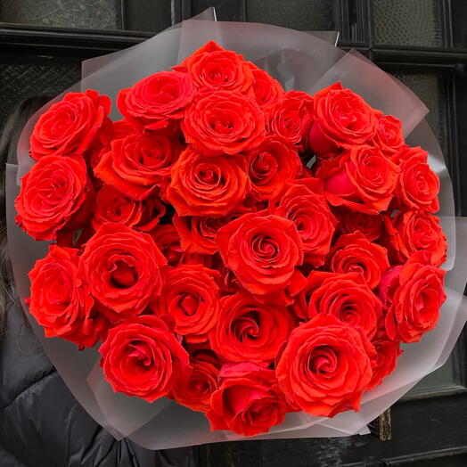 Red rose 51