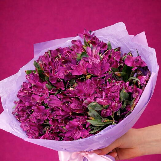 Alstroemeria lilac - 35