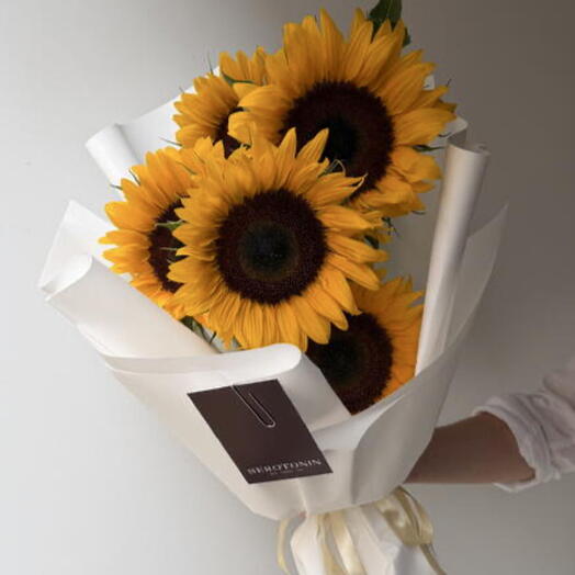 Sunflowers 5