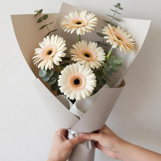 Komplimentstrauß (Gerbera, Eukalyptus)