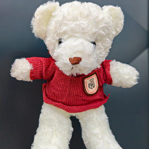 Dressed teddy bear 🤍