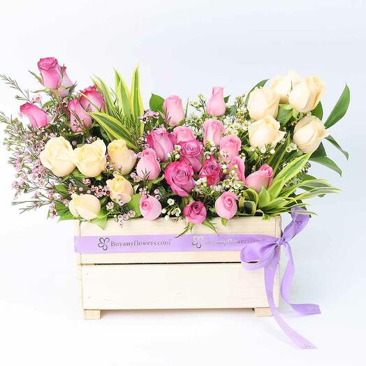 Abundance 31 Roses