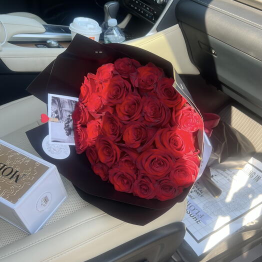 25 Explorer Roses
