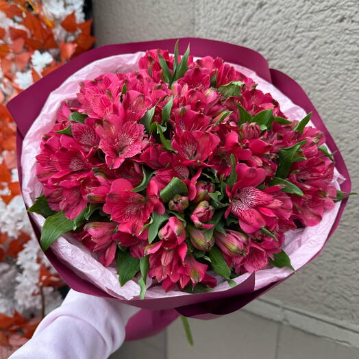 Bukied Red Alstromeria