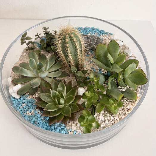 Florarium Sea