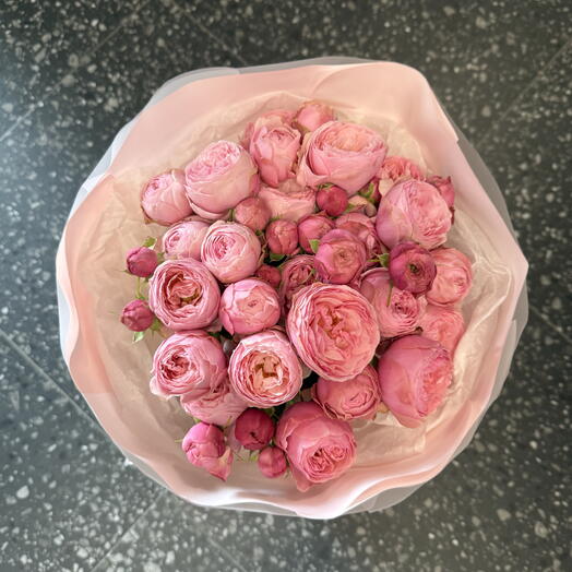 Roses like peonies