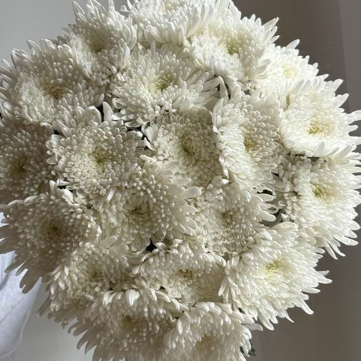 19 Chrysanthemums (Bouquet No. 16)