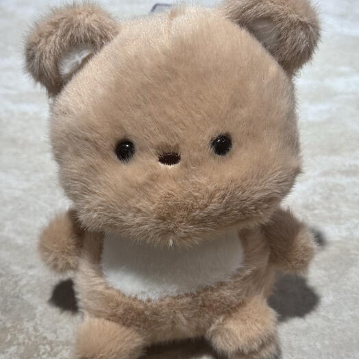 Teddy bear