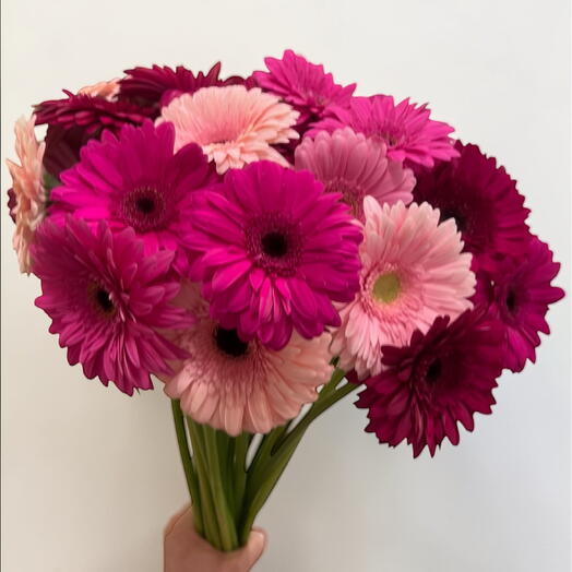 Bouquet of 25  colorful Gerbera