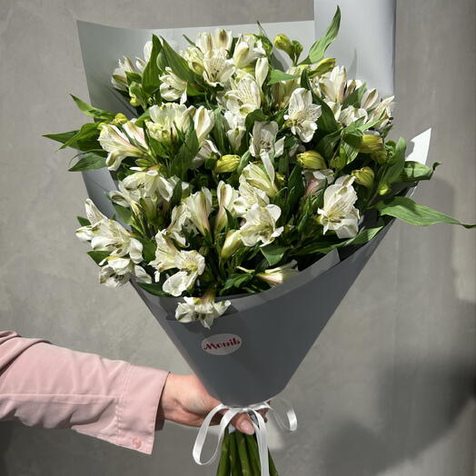 Alstromeria white 15