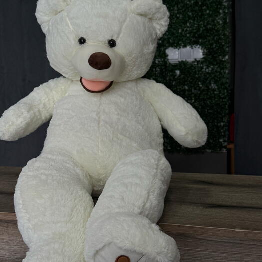 White plush teddy bear (L)