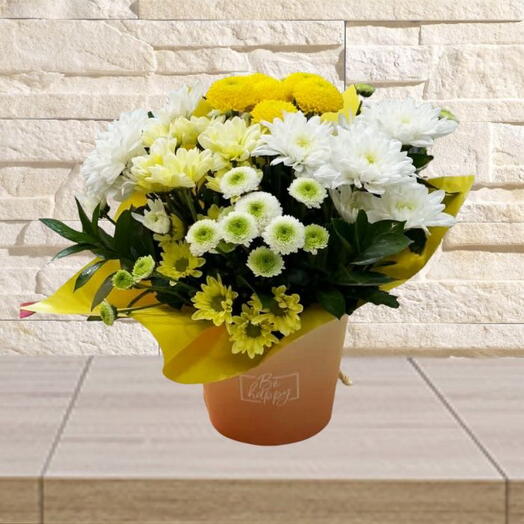 Sunshine Blossom Flower Box
