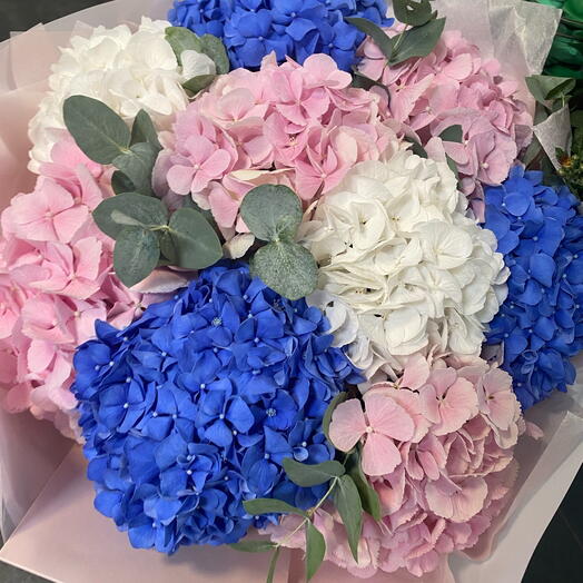 9 Hydrangea Mix