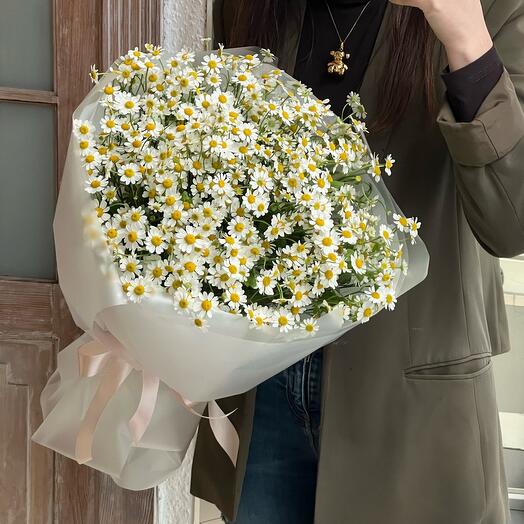 Daisies