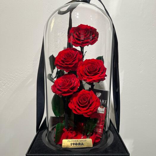 Beautiful roses with chocolate in a glass dome