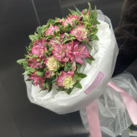 Alstroemeria