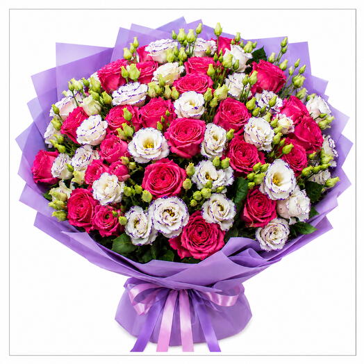 Violet Romance